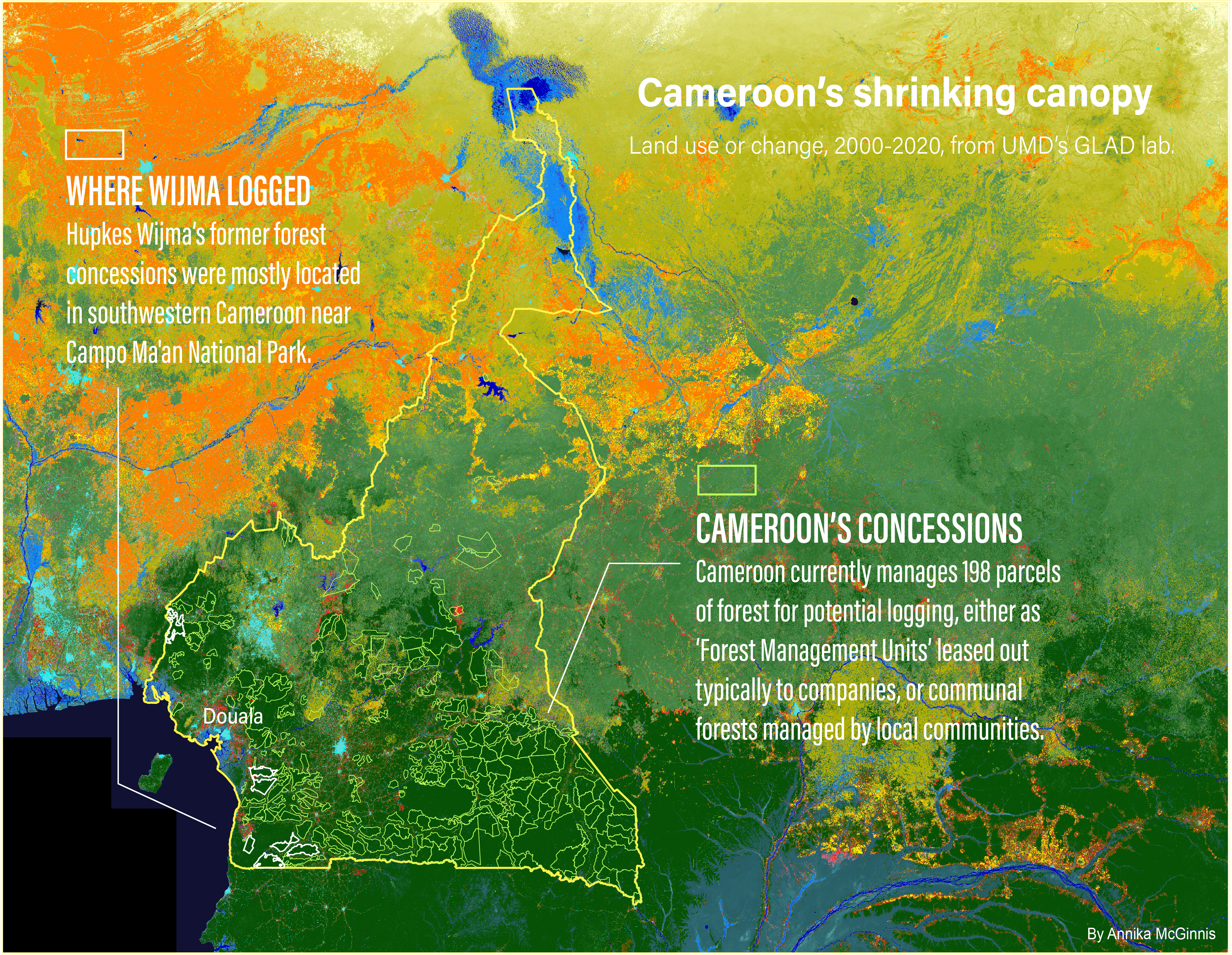 Cameroon Satellite Graphic